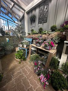 Blumen Brauer