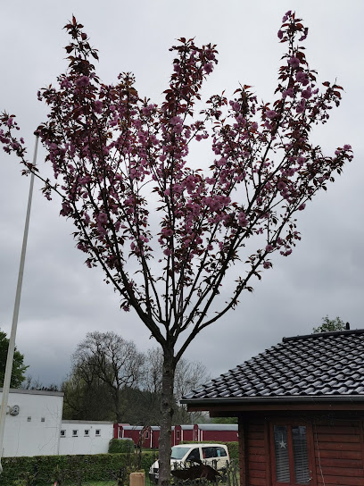Owschlag
