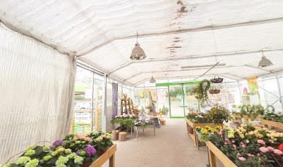 Gärtnerei Kleensang