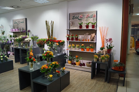 Blumen Edelweiß Weimar Atrium