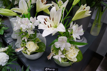 Blumen Edelweiß Weimar Atrium