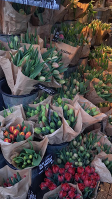 BLUME2000 Hannover PopUp