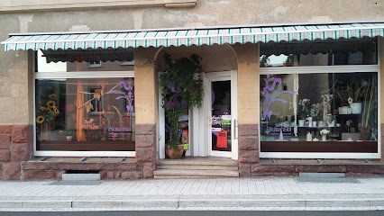 Blumen u. Pflanzen Büchel