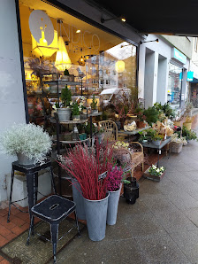 Indigo Nordstadt