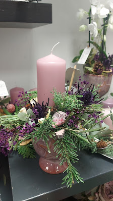 Blumen Edelweiß Bad Langensalza