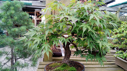 Bonsai-Do