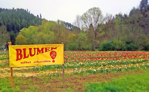 Blumenfelder Kentheim