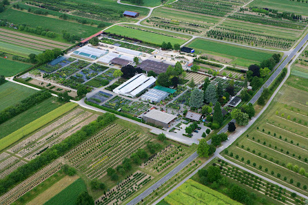 AMMANN Gartenkultur GmbH - Großhandel