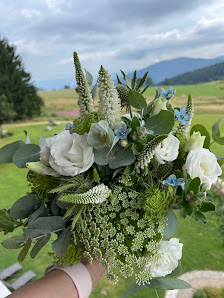 Blumen Eckert - Todtnau