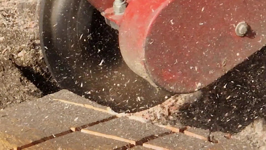Maier Garten- und Außenanlagen