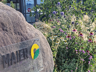 Maier Garten- und Außenanlagen