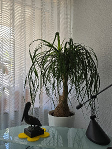 Florina Blumenfachgeschäft List