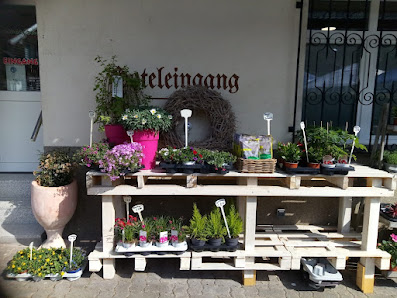 Immergrün Zell, Blumen, Floristik, Geschenke