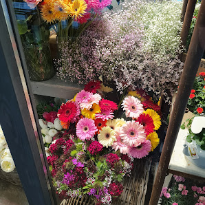 Blumen Zaubernuß