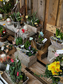 Kreativfloristik Bergblüte
