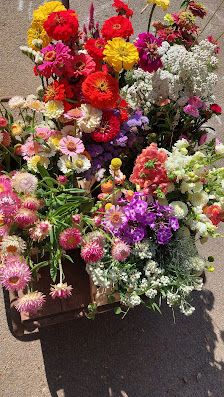 AusGutemGarten - Blumen 100% aus der Region