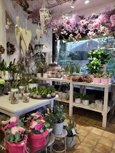 Blumen Reichelt
