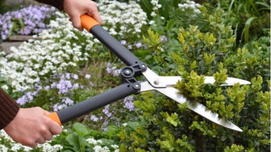 Gartenbau Sommer | Sommer Garten und Landschaftsbau