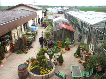 Obst- und Gemüsehandel in Meißenheim