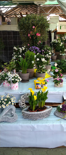 Blumen Weiss