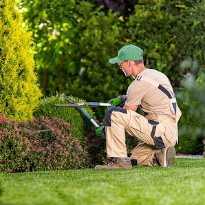 Ortenauer Garten-& Gebäudeservice