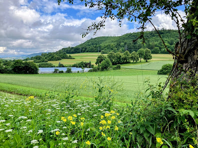 gärtnerei „im langen teich“