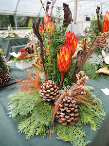Blumen für alle Anlässe