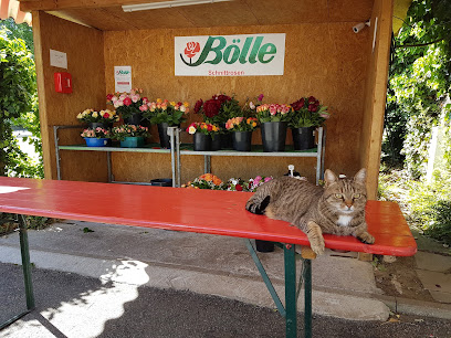 Bölle Schnittrosen