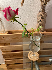 Bölle Schnittrosen