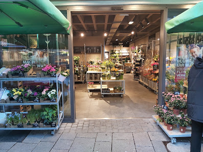 BLUME2000 Reutlingen