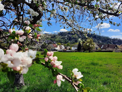 Tannbach-Gärtnerei