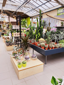 Blumenland Halmer