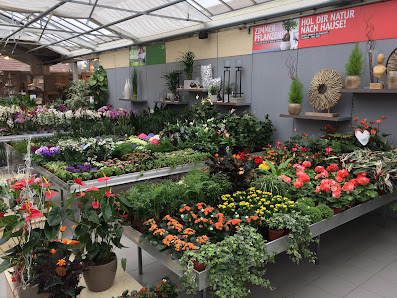 Blumenland Halmer