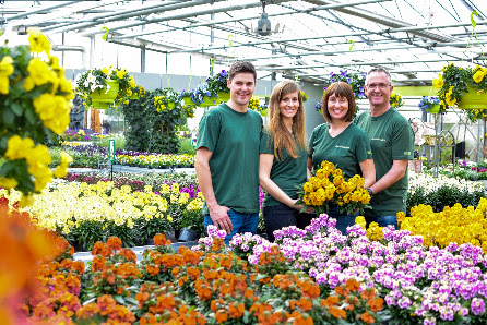 Blumenland Halmer