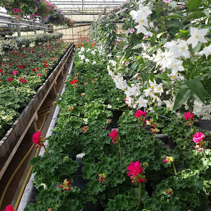 Gärtnerei und Blumenladen Bichl