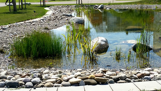 Woll | Garten- und Landschaftsbau GmbH & Co.KG