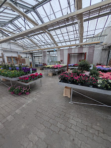 Blumen Berchtenbreiter