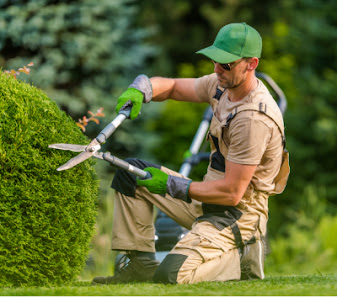 Gartenpflege Firma - Cham