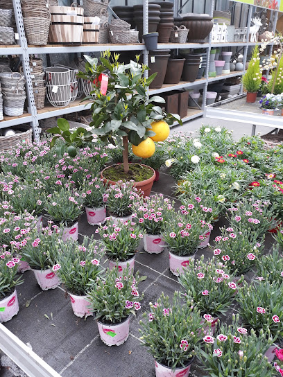 Blumenpanorama Hosch