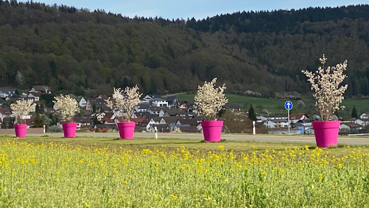 Häring am Blütenrain