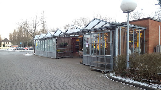 Blumen Ganter - Floristik - Blumen - Grabpflege und Gießservice