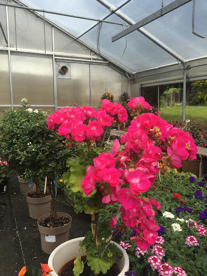 Blumen Salzinger