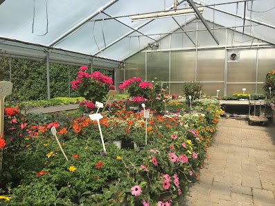 Blumen Salzinger
