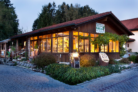 Kaktus Blumenhaus