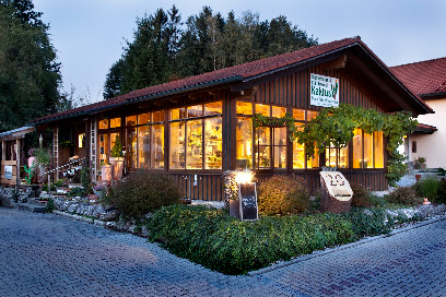 Kaktus Blumenhaus