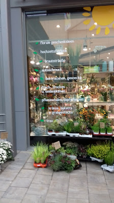Blumen Heller