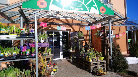 Blumen Plank