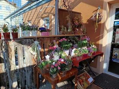 Blumen Plank