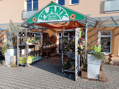 Blumen Plank