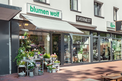Blumen Wolf